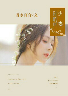 陆少的前妻【完本】