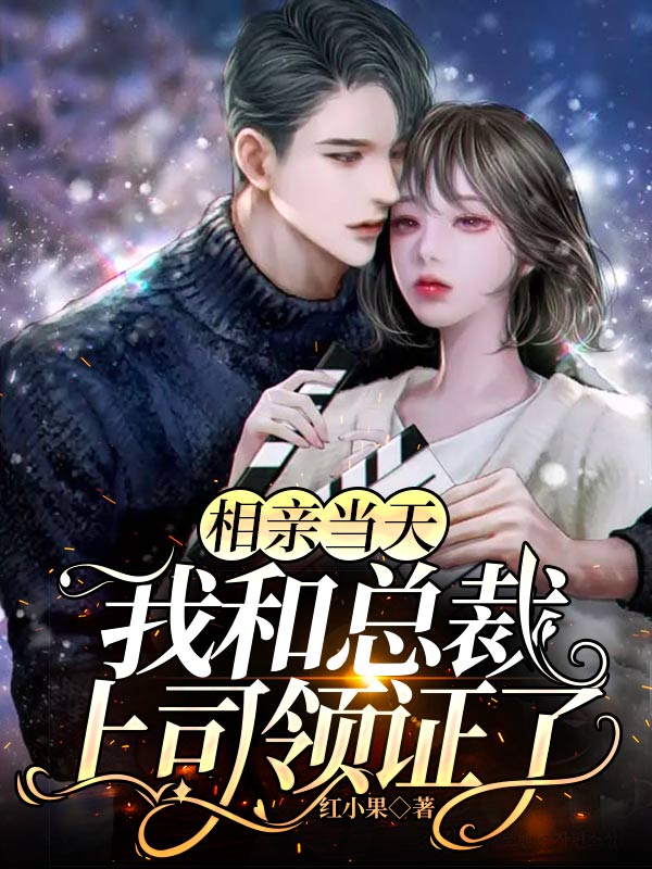 相亲当天,我和总裁上司领证了
